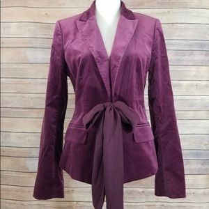 Ann Taylor Velvet Jacket Blazer 16P Fully Lined
